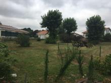 Photo du terrain pour implantation de la maison 